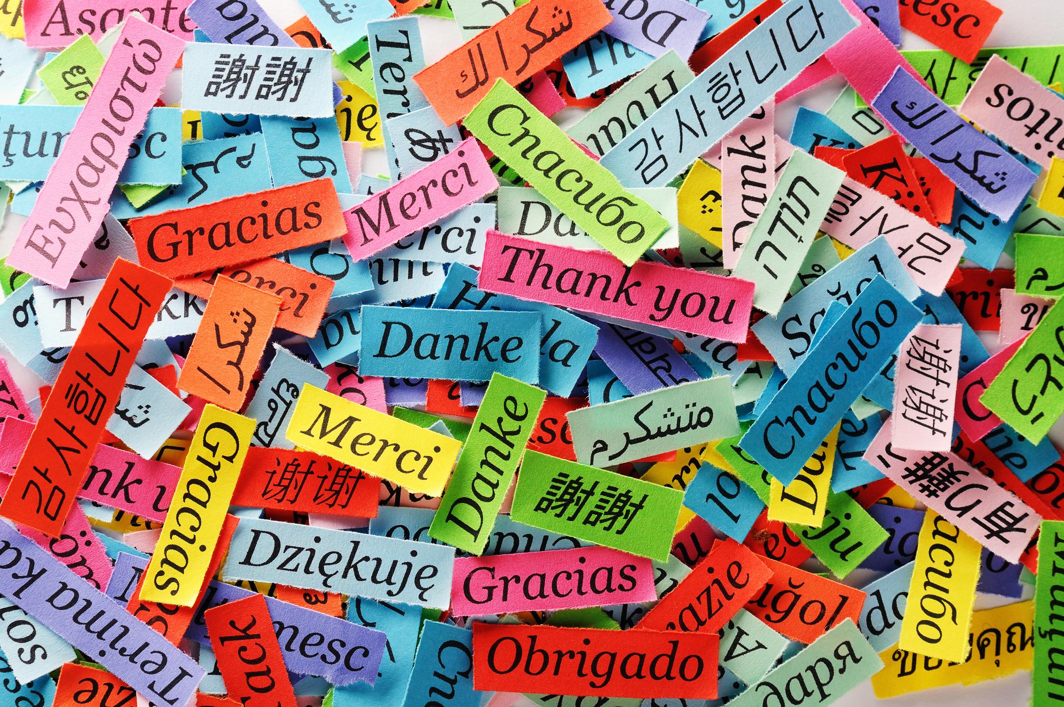 Εκπαιδευτικά Προγράμματα Διερμηνείας, Μετάφρασης & Διδασκαλίας Ξένων Γλωσσών
